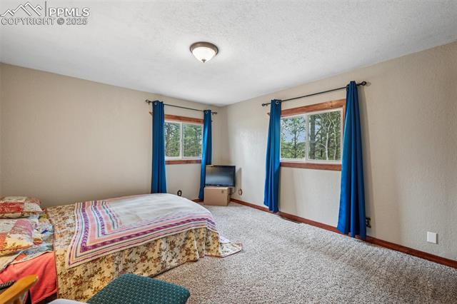 MLS Image for 281  Mesa  ,Florissant, Colorado