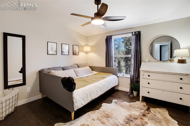 MLS Image for 403  Pioneer Creek  ,Florissant, Colorado