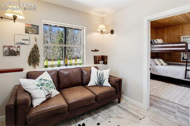 MLS Image for 403  Pioneer Creek  ,Florissant, Colorado