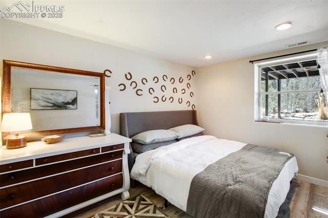 MLS Image for 403  Pioneer Creek  ,Florissant, Colorado