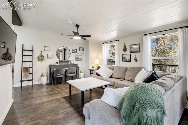 MLS Image for 403  Pioneer Creek  ,Florissant, Colorado