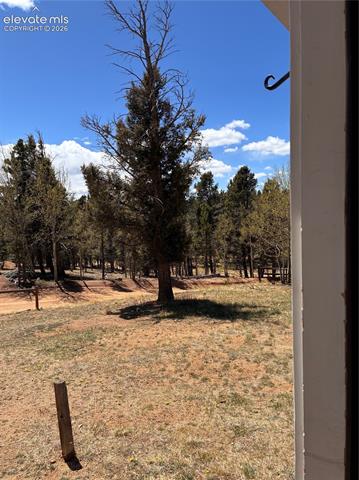 MLS Image for 169  Daisy  ,Woodland Park, Colorado