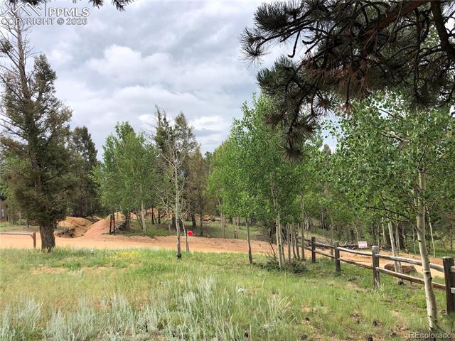 MLS Image for 169  Daisy  ,Woodland Park, Colorado