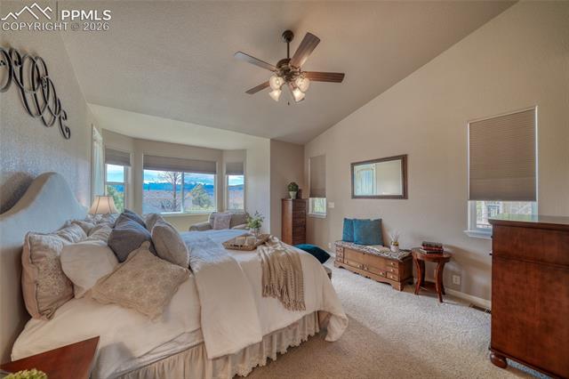 MLS Image for 3605  Cherry Plum  ,Colorado Springs, Colorado