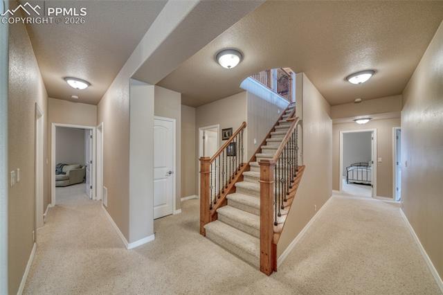 MLS Image for 3605  Cherry Plum  ,Colorado Springs, Colorado