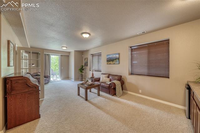 MLS Image for 3605  Cherry Plum  ,Colorado Springs, Colorado