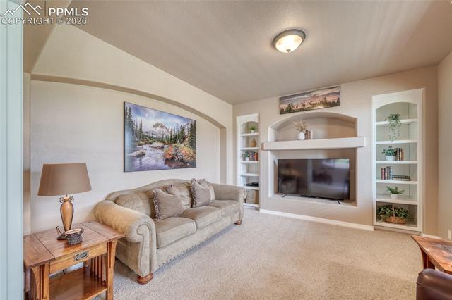 MLS Image for 3605  Cherry Plum  ,Colorado Springs, Colorado