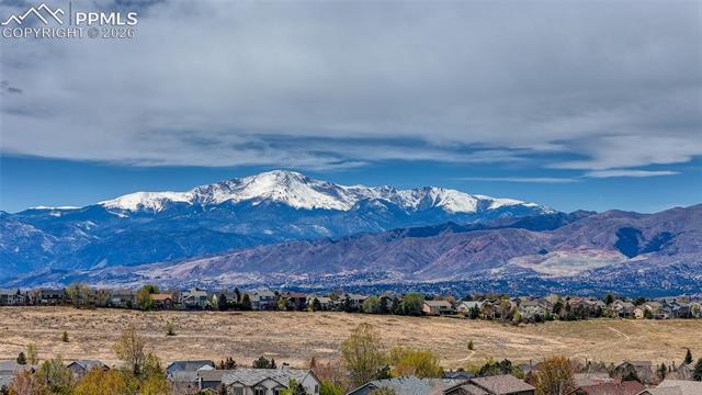 MLS Image for 3605  Cherry Plum  ,Colorado Springs, Colorado