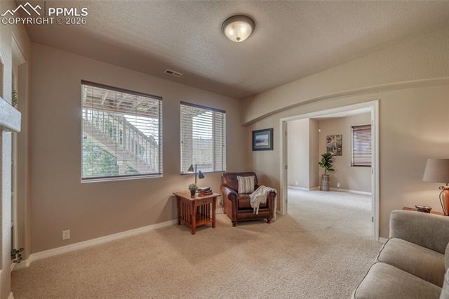 MLS Image for 3605  Cherry Plum  ,Colorado Springs, Colorado