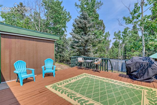 MLS Image for 53  Iris  ,Woodland Park, Colorado