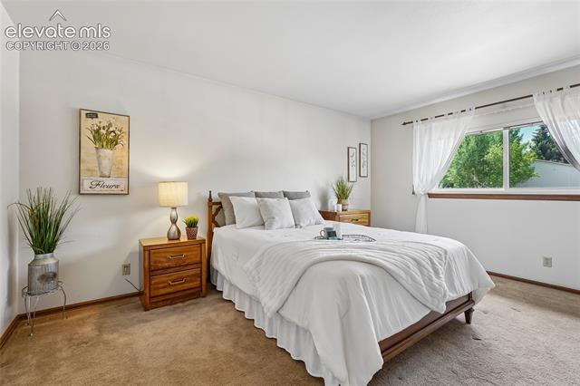 MLS Image for 4837  Chaparral  ,Colorado Springs, Colorado