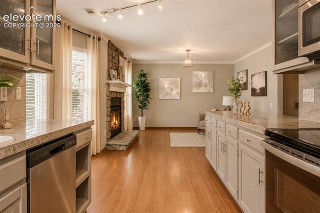 MLS Image for 1142  Dancing Horse  ,Colorado Springs, Colorado