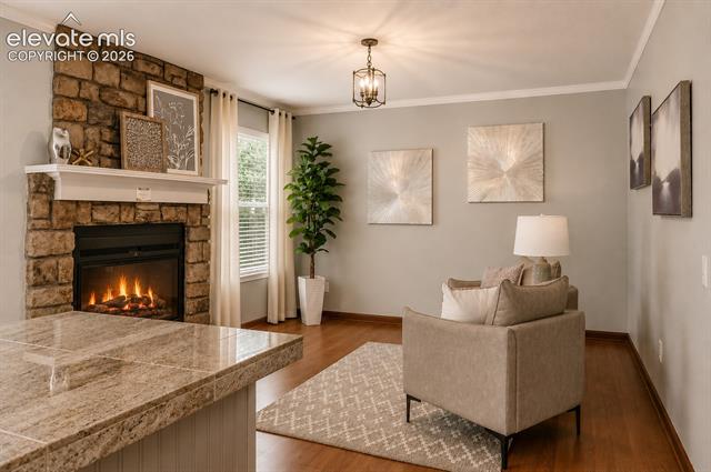 MLS Image for 1142  Dancing Horse  ,Colorado Springs, Colorado