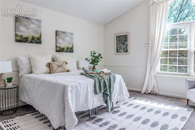 MLS Image for 1142  Dancing Horse  ,Colorado Springs, Colorado