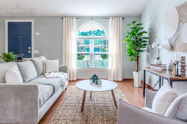 MLS Image for 1142  Dancing Horse  ,Colorado Springs, Colorado