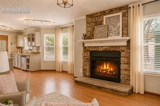 MLS Image for 1142  Dancing Horse  ,Colorado Springs, Colorado