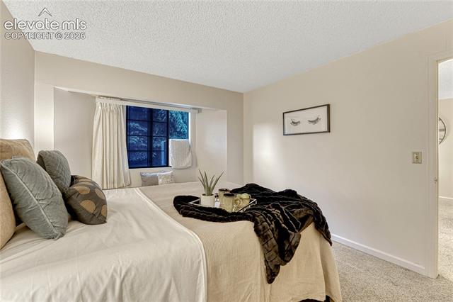 MLS Image for 2430  Palmer Park  303 ,Colorado Springs, Colorado