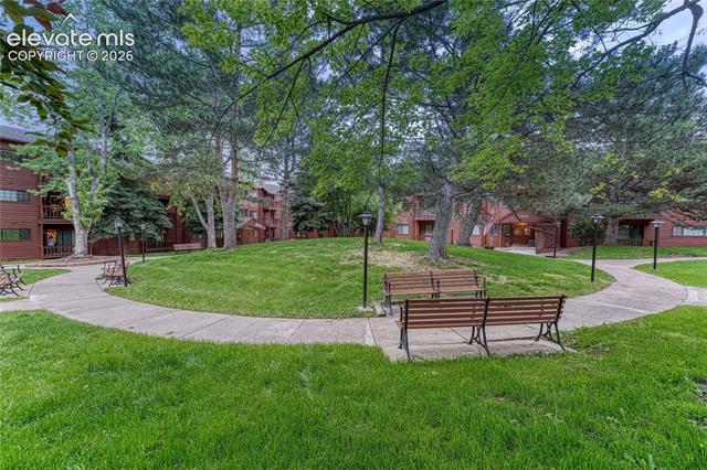 MLS Image for 2430  Palmer Park  303 ,Colorado Springs, Colorado