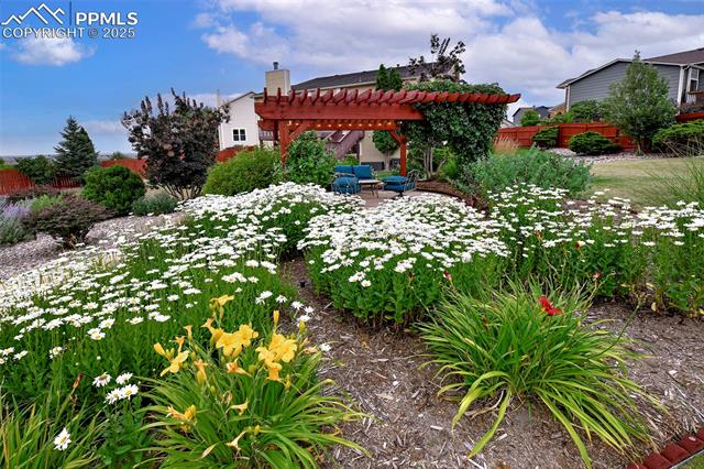 MLS Image for 830  Lilacglen  ,Colorado Springs, Colorado