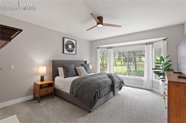 MLS Image for 605  Paisley  ,Colorado Springs, Colorado