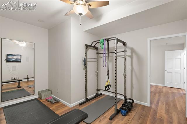 MLS Image for 605  Paisley  ,Colorado Springs, Colorado