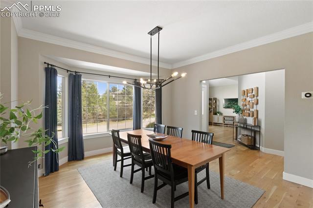 MLS Image for 605  Paisley  ,Colorado Springs, Colorado