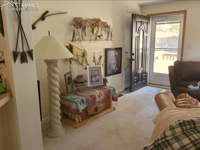 MLS Image for 156  Sildona  ,Florissant, Colorado