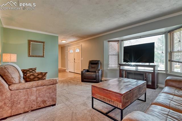 MLS Image for 7410  Hickorywood  ,Colorado Springs, Colorado