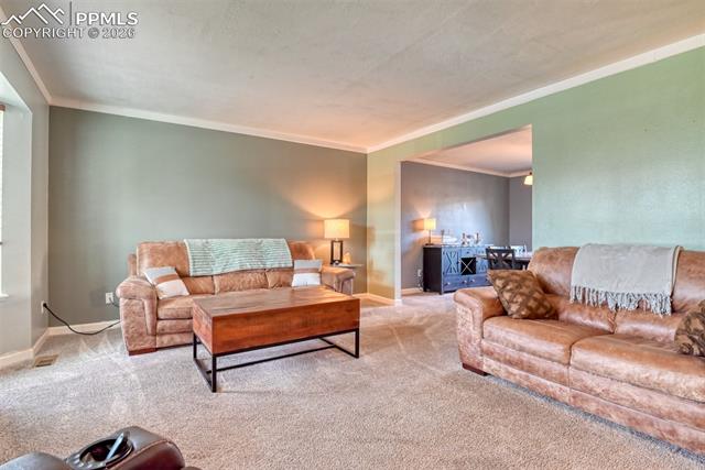 MLS Image for 7410  Hickorywood  ,Colorado Springs, Colorado
