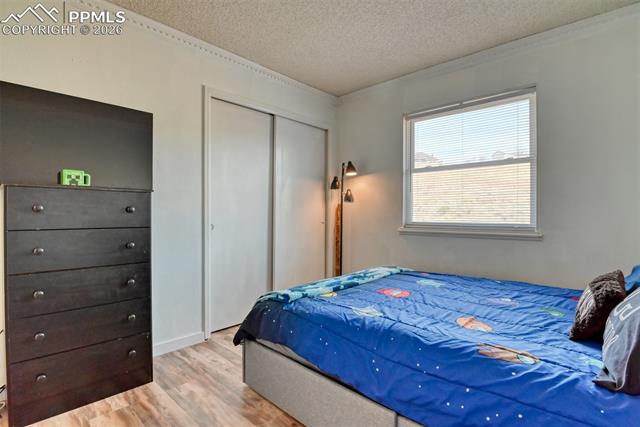 MLS Image for 7410  Hickorywood  ,Colorado Springs, Colorado