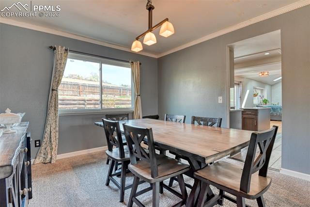 MLS Image for 7410  Hickorywood  ,Colorado Springs, Colorado