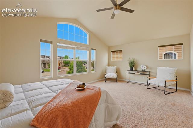 MLS Image for 6266  Finglas  ,Colorado Springs, Colorado