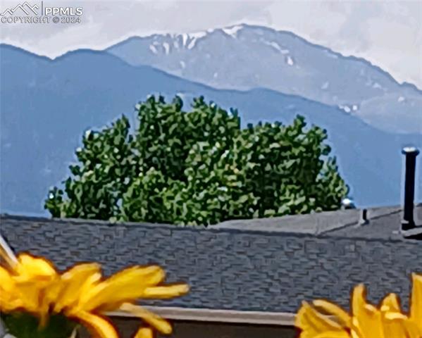 MLS Image for 4882  Witches Hollow  ,Colorado Springs, Colorado