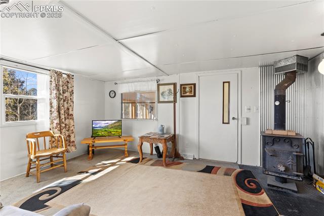 MLS Image for 374  Fern  ,Woodland Park, Colorado