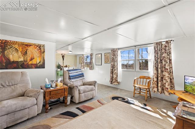MLS Image for 374  Fern  ,Woodland Park, Colorado