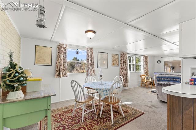 MLS Image for 374  Fern  ,Woodland Park, Colorado