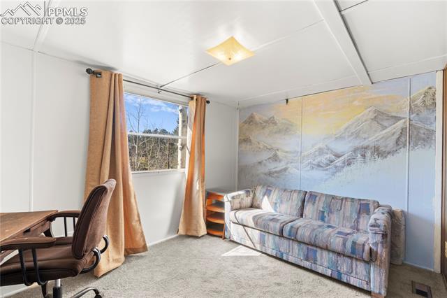 MLS Image for 374  Fern  ,Woodland Park, Colorado