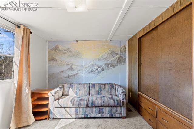 MLS Image for 374  Fern  ,Woodland Park, Colorado