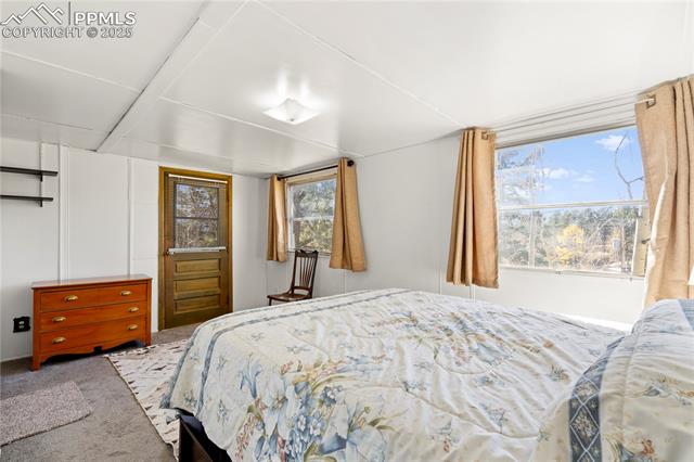 MLS Image for 374  Fern  ,Woodland Park, Colorado