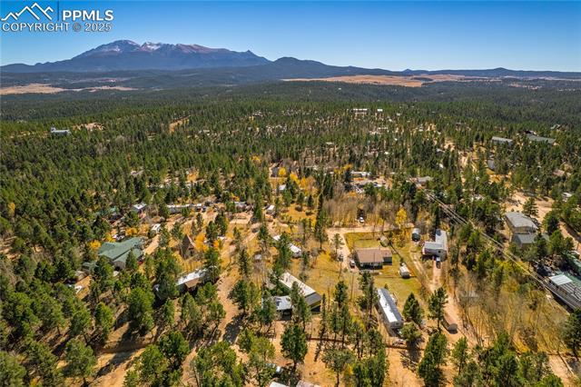MLS Image for 374  Fern  ,Woodland Park, Colorado