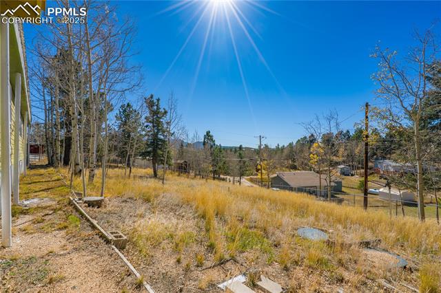 MLS Image for 374  Fern  ,Woodland Park, Colorado