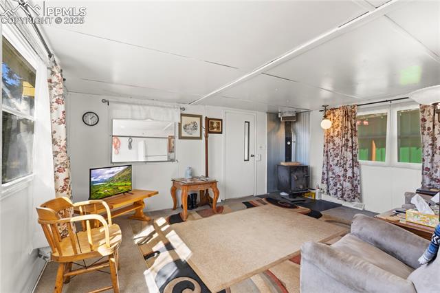MLS Image for 374  Fern  ,Woodland Park, Colorado