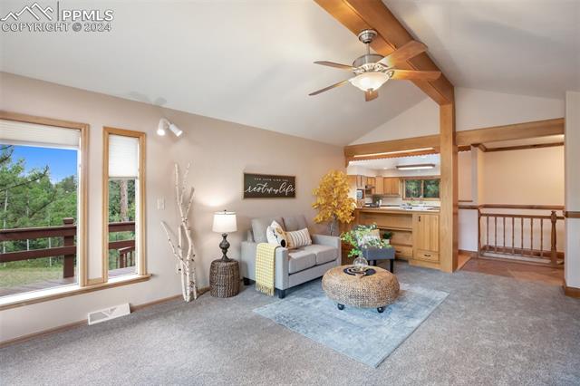 MLS Image for 2220  Lee Circle  ,Woodland Park, Colorado