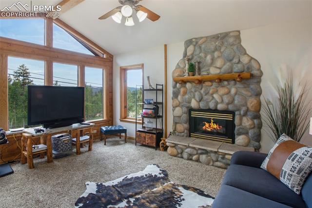 MLS Image for 2220  Lee Circle  ,Woodland Park, Colorado