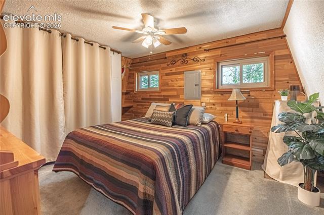 MLS Image for 76  Pine  ,Woodland Park, Colorado