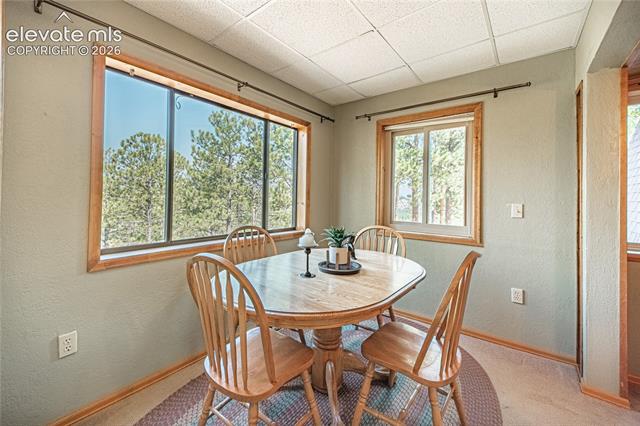 MLS Image for 76  Pine  ,Woodland Park, Colorado