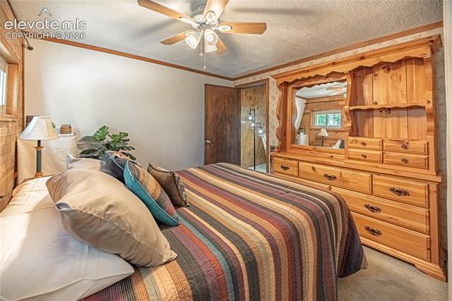 MLS Image for 76  Pine  ,Woodland Park, Colorado