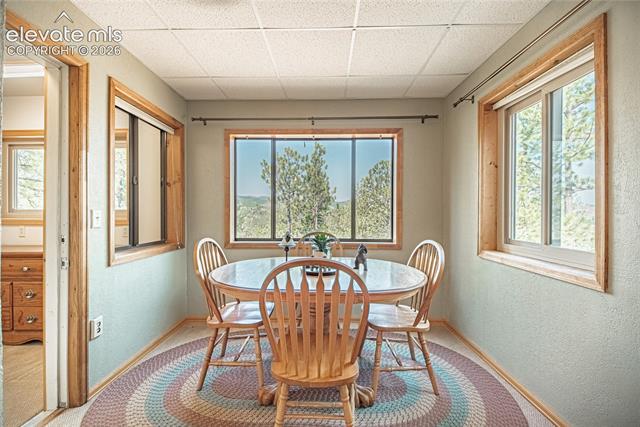 MLS Image for 76  Pine  ,Woodland Park, Colorado