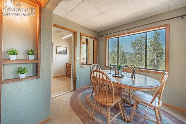 MLS Image for 76  Pine  ,Woodland Park, Colorado