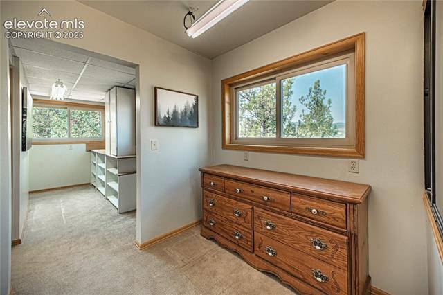 MLS Image for 76  Pine  ,Woodland Park, Colorado